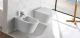Wellis Clement fali WC RIMLESS